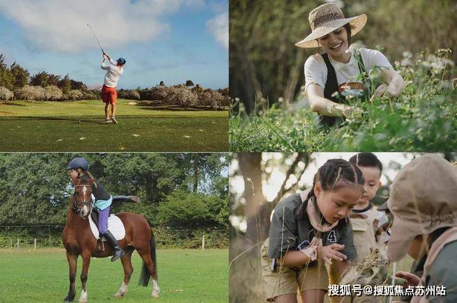 五个院子 五个院子首页网站-五个院子 五个院子欢迎您-楼盘详情-上海嘉定楼盘(图1)