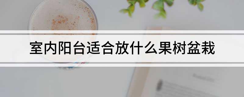 室内阳台适合放什么果树盆栽(图1)